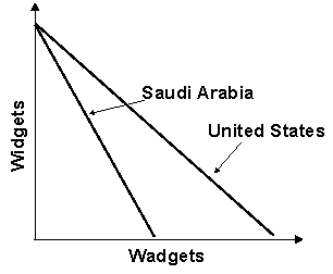 <strong>Refer to the graph shown. The graph demonstrates Saudi Arabia's and the United States' production possibility curves for widgets and wadgets.Given these production possibility curves, you would suggest that:</strong> A)Saudi Arabia specialize in widgets and the United States in wadgets. B)No trade should take place. C)Saudi Arabia specialize in wadgets and the United States in widgets. D)Both countries should produce an equal amount of each.