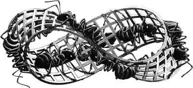 <strong>Feminist philosopher Elizabeth Grosz proposed that we view the relationship between sex (the natural)and gender (the social)as existing on a Möbius strip because:  </strong> A) sex comes before gender and dictates behavior. B) you can separate sex and gender into two distinct entities. C) sex and gender are two sides of the same coin and are thus inseparable. D) it is easier to siphon out the effects of each in this way. <div style=padding-top: 35px> 