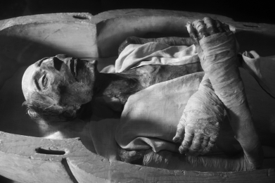 <strong>Michael is in a sociology class and the teacher poses a debate: Did Ramses II die of tuberculosis? The class studies the phenomenon of science wars, and in this war,Michael is on the team that will defend Bruno Latour's view.Michael argues that Ramses II:  </strong> A) died of tuberculosis because the remains showed evidence of the disease. B) could not have died of tuberculosis because the disease had not been discovered at the time of death. C) died of unknown causes,because archaeological science is not able to identify diseases with certainty. D) may or may not have died of tuberculosis; it depends on the subjective view of the scientist answering the question. <div style=padding-top: 35px> 