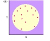 <strong>The graph shown depicts a __________ correlation. </strong> A) zero B) perfect positive C) perfect negative D) causal