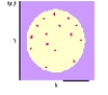 Which of the following correlations is depicted below?  