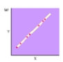 The graph shown depicts a __________ correlation.  