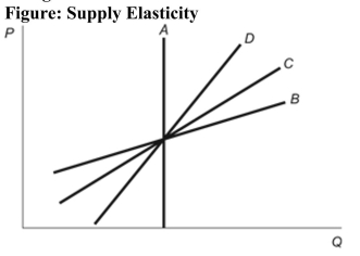 <strong>(Figure: Supply Elasticity) Refer to the figure. Which one of the four supply curves has the greatest responsiveness to price changes? </strong> A) Supply Curve A B) Supply Curve B C) Supply Curve C D) Supply Curve D