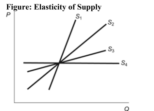 <strong> Reference: Ref 5-1 (Figure: Elasticity of Supply) Refer to the figure. Which supply curve is the most elastic?</strong> A) S1 B) S2 C) S3 D) S4