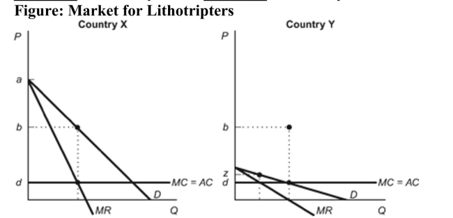 <strong>(Figure: Market for Lithotripters) Refer to the figure. Suppose that a German manufacturer can sell its kidney lithotripter in two markets: Country X and Country Y. If this firm is interested in maximizing profits, it should set a price of ________ in Country X and ________ in Country Y. </strong> A) d; z B) b; d C) b; z D) a; d