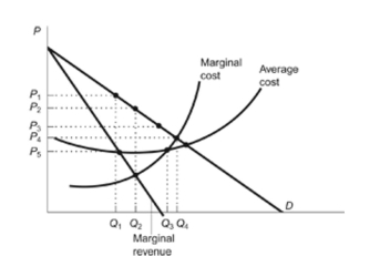 <strong>Figure: Maximize Monopoly Profits Reference: Ref 13-4 (Figure: Maximize Monopoly Profits) Refer to the figure. The monopolist will maximize its profit by charging a price equal to:</strong> A) P1. B) P2. C) P3. D) P4.