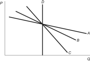 <strong>Figure: Price Elasticity of Demand Refer to the figure. Which of the four demand curves has the greatest responsiveness to price changes?</strong> A) A B) B C) C D) D