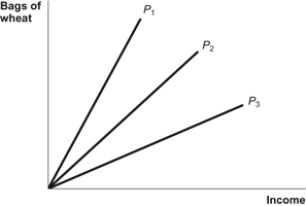 <strong>Use the following to answer questions: Figure: Piece Rates (Figure: Piece Rates) Refer to the figure. A piece rate is offered for every 10 bags of wheat that workers fill. Which of the three piece rates plotted in the figure above has the lowest dollar value to the firm?</strong> A) P<sub>1</sub> B) P<sub>2</sub> C) P<sub>3</sub> D) All three piece rates are of equal value.
