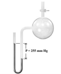 <strong>Consider the open-end manometer shown below. When the pressure of the atmosphere is 754 mmHg,what is the pressure of the gas sample?</strong> A)225 mm Hg B)754 mm Hg C)499 mm Hg D)1009 mm Hg