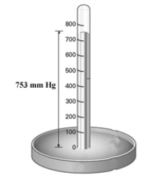 <strong>Examine the barometer shown below. Convert the pressure reading on the barometer to atm and psi.</strong> A)0.991 atm; 14.6 psi B)0.991 atm; 3.90 × 10<sup>2</sup> psi C)5.72 × 10<sup>3</sup> atm; 14.6 psi D)5.72 × 10<sup>3</sup> atm; 3.90 × 10<sup>2</sup> psi E)75.3 atm; 1.11 × 10<sup>3</sup> psi