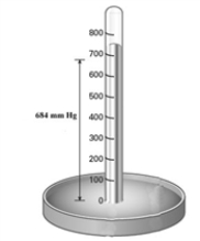 <strong>Consider the mercury barometer shown below. What is the equivalent of pressure reading in torr?</strong> A)684 torr B)0.900 torr C)6.75 torr D)46.6 torr E)1444 torr