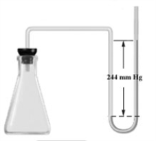<strong>Consider the open-ended manometer shown below.In this apparatus the arm on the right is open to the atmosphere and feels the full effect of atmospheric pressure.The pressure in the chemistry lab at the time of this experiment is 755 mm Hg.The flask contains O<sub>2</sub>,N<sub>2</sub> and Ne.   Which of the following correctly applies to this apparatus?</strong> A)   B)   C)   D)   E)none of the above <div style=padding-top: 35px> 
