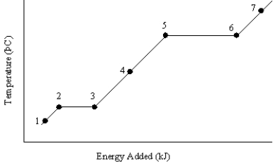 <strong>The graph below represents a temperature versus energy plot for a pure substance.   Identify the point(s) (i)where both liquid and gas exist and (ii)is associated with the heat of condensation</strong> A)(i) 1 (ii) 5 and 6 B)(i) 2 and 3 (ii) 5 and 6 C)(i) 4 (ii) 5 and 6 D)(i) 5 and 6 (ii) 5 and 6 E)(i) 7 (ii) 3 and 3 <div style=padding-top: 35px> 