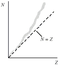 This question refers to the figure shown. Which one of the following concepts explains why heavy nuclei do not follow the N = Z line (or trend) in the figure?