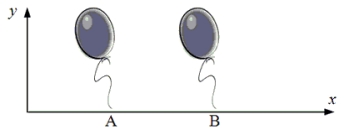 <strong>Two helium-filled balloons are released simultaneously at points A and B on the x axis in an earth-based reference frame. Which one of the following statements is true for an observer moving in the +x direction? </strong> A)The observer always sees the balloons released simultaneously. B)The observer could see either balloon released first depending on her speed and the distance between A and B. C)The observer sees balloon A released before balloon B. D)The observer sees balloon B released before balloon A. E)The observer cannot determine whether they were released separately or simultaneously.