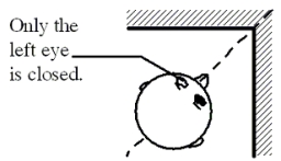 <strong>Two plane mirrors are connected perpendicular to each other, as shown in the figure. If a person looks into the corner at the image straight ahead of him and closes his left eye as shown, which one of the following statements is true? </strong> A)The left eye of the image is closed. B)The right eye of the image is closed. C)Both eyes of the image are open. D)Both eyes of the image are closed. E)There is no image straight ahead of him, so this question is meaningless.