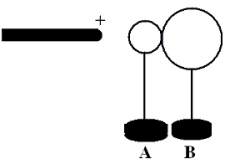 <strong>Two uncharged, conducting spheres, A and B, are held at rest on insulating stands and are in contact. A positively charged rod is brought near sphere A as suggested in the figure. While the rod is in place, someone moves sphere B away from A. How will the spheres be charged, if at all? </strong> A) B) C) D) E)