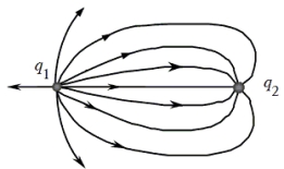 <strong>The figure shows the electric field lines in the vicinity of two point charges. Which one of the following statements concerning this situation is true? </strong> A)q<sub>1</sub> is negative and q<sub>2</sub> is positive. B)The magnitude of the ratio (q<sub>2</sub>/ q<sub>1</sub>)is less than one. C)Both q<sub>1</sub>and q<sub>2</sub> have the same sign of charge. D)The magnitude of the electric field is the same everywhere. E)The electric field is strongest midway between the charges.