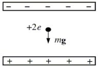 <strong>A helium nucleus is located between the plates of a parallel-plate capacitor as shown. The nucleus has a charge of +2e and a mass of 6.6 × 10<sup>-</sup><sup>27 </sup>kg. What is the magnitude of the electric field such that the electric force exactly balances the weight of the helium nucleus so that it remains stationary? </strong> A)4.0 × 10<sup>-</sup><sup>7 </sup>N/C B)6.6 × 10<sup>-</sup><sup>26 </sup>N/C C)2.0 × 10<sup>-</sup><sup>7 </sup>N/C D)5.0 × 10<sup>-</sup><sup>3 </sup>N/C E)1.4 × 10<sup>-</sup><sup>8 </sup>N/C