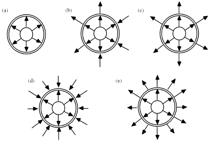 <strong>A solid, conducting sphere of radius a carries an excess charge of +6 µC. This sphere is located at the center of a hollow, conducting sphere with an inner radius of b and an outer radius of c as shown. The hollow sphere also carries a total excess charge of +6 µC. Which one of the following figures shows a qualitatively accurate sketch of the electric field lines in and around this system? </strong> A)a B)b C)c D)d E)e