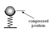 <strong>A ping-pong ball weighs 0.025 N. The ball is placed inside a cup that sits on top of a vertical spring. If the spring is compressed 0.055 m and released, the maximum height above the compressed position that the ball reaches is 2.84 m. Neglect air resistance and determine the spring constant. </strong> A)47 N/m B)24 N/m C)11 N/m D)5.2 N/m E)2.6 N/m