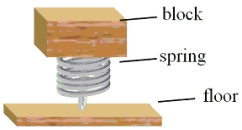 <strong>A 0.800-kg block is placed on top of a vertically oriented spring as shown. The block is not attached to the spring, but the spring is attached to the floor. The block oscillates in simple harmonic motion. If the spring constant is 95.0 N/m, determine the amplitude at which the block loses contact with the spring. </strong> A)0.0505 m B)0.0615 m C)0.0735 m D)0.0825 m E)0.0945 m