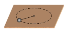 <strong>A ball of mass M moves in a circular path on a horizontal, frictionless surface. It is attached to a light string that passes through a hole in the center of the table. If the string is pulled down, thereby reducing the radius of the path of the ball, the speed of the ball is observed to increase. Complete the following sentence: This occurs because </strong> A)the linear momentum of the ball is conserved. B)it is required by Newton's first law of motion. C)the angular momentum of the ball is conserved. D)the angular momentum of the ball must increase. E)the total mechanical energy of the ball must remain constant.