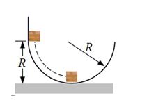 <strong>A block of mass m is released from rest at a height R above a horizontal surface. The acceleration due to gravity is g. The block slides along the inside of a frictionless circular hoop of radius R. Which one of the following expressions gives the speed of the mass at the bottom of the hoop?</strong> A)zero m/s<sup>2</sup> B)v = mgR C) D) E)v<sup>2</sup> = 2gR