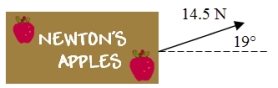 <strong>An apple crate with a weight of 225 N accelerates along a frictionless surface as the crate is pulled with a force of 14.5 N as shown in the drawing. What is the horizontal acceleration of the crate? </strong> A)1.40 m/s<sup>2</sup> B)0.427 m/s<sup>2</sup> C)1.29 m/s<sup>2</sup> D)0.597 m/s<sup>2</sup> E)0.644 m/s<sup>2</sup>