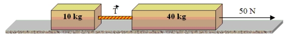 A 10-kg block is connected to a 40-kg block as shown in the figure. The surface on that the blocks slide is frictionless. A force of 50 N pulls the blocks to the right.   -What is the magnitude of the tension   in the rope that connects the two blocks?