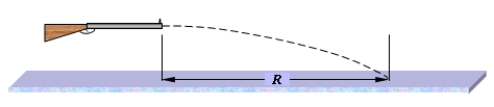<strong>A spring-loaded gun is aimed horizontally and is used to launch identical balls with different initial speeds. The gun is at a fixed position above the floor. The balls are fired one at a time. If the speed of the second ball fired is twice the speed of the first ball fired, how is the horizontal range (denoted R in the figure) affected?</strong> A)The range for both balls will be the same. B)The range of the second ball will be half as much as that of the first ball. C)The range of the second ball will be twice as large as that of the first ball. D)The range of the second ball is about 1.4 times larger than that of the first ball. E)The range of the second ball will be smaller than that of the first ball by a factor of 1.4.