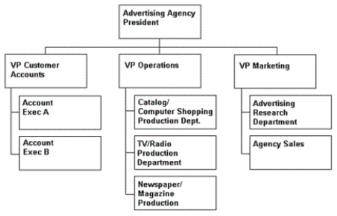 <strong>Organizational Chart 3.2 Refer to Organizational Chart 3.2. From the perspective of an organizational structure analyst, what is the best assessment of the structure shown in Organizational Chart 3.2?</strong> A) To lower fixed costs, this organization should change to a divisional structure with customer account executives heading each major division. B) To improve the communications flow, it is recommended that this company add a full-time integrator between each account executive and operations head. C) The customer account executives can be considered to be integrators. D) The organization does not take advantage of economies of scale within the operations department.