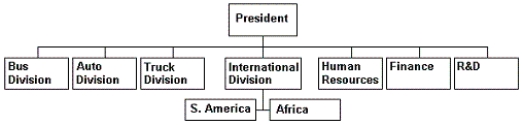<strong>Chart 6.2   Refer to Chart 6.2. Which structure is shown?</strong> A) global functional B) domestic hybrid C) global matrix D) global product <div style=padding-top: 35px> 