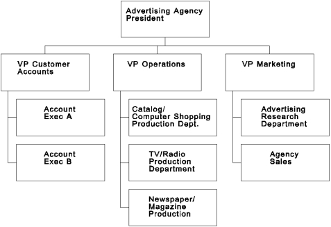 <strong> Reference Organization Chart 3.1. Which of the following is correct?</strong> A) The structure is divisional. B) The structure is primarily functional. C) The customer accounts section should be dissolved and made to report to marketing. D) Hierarchical referral is the best means for coordination in this organization.
