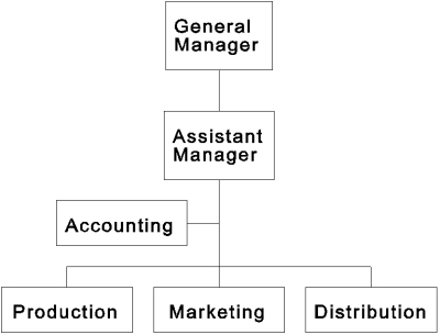 <strong> Reference Organization Chart 3.2. The structure would bring strengths such as:</strong> A) product responsibility is clear and simple. B) economies of scale C) suitability for an unstable environment. D) determining total cost of any given product is a straightforward hierarchical matter.
