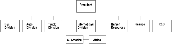 <strong> Reference Organization Chart 6.1. Comparing the structure that is diagramed to a global geographic structure:</strong> A) the firm shown above is not as far along in developing opportunities for multidomestic strategy as the global geographic structure would be. B) product managers differ in that in the chart above, the product heads are line managers primarily accountable for their product domestically whereas in the global geographic structure, product coordinators are staff advisors. C) the structure shown is better than the global geographic structure. D) the global geographic structure is more domestically oriented than the one above.