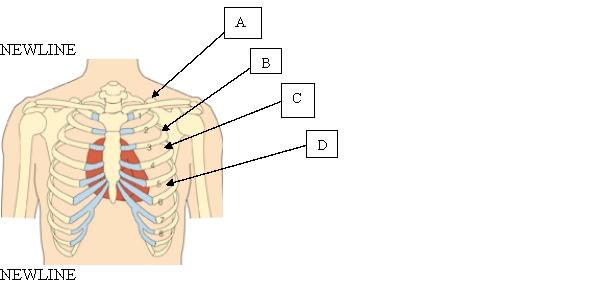 <strong>The nurse is performing a cardiac assessment and prepares to palpate the client's heartbeat on the client's chest. Which is the correct location for the nurse to use when conducting this assessment? </strong> A) A. B) B. C) C. D) D.