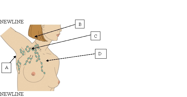 <strong>The nurse is evaluating the risk for metastasis after a client is diagnosed with breast cancer. Which lymph node involvement would indicate the greatest likelihood of metastasis for this client? </strong> A) A. B) B. C) C. D) D.