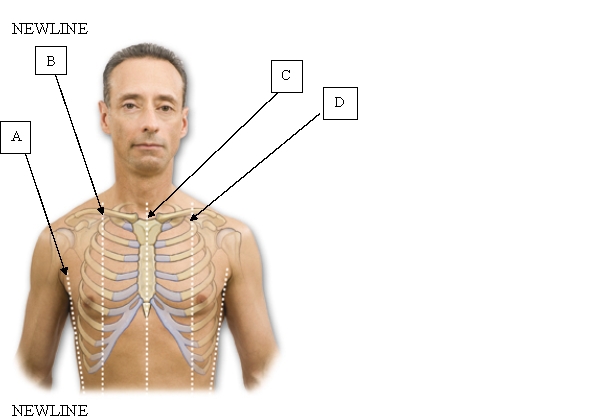 <strong>The nurse is conducting an assessment. Where is the right anterior axillary line (ALL) located? </strong> A) A. B) B. C) C. D) D.