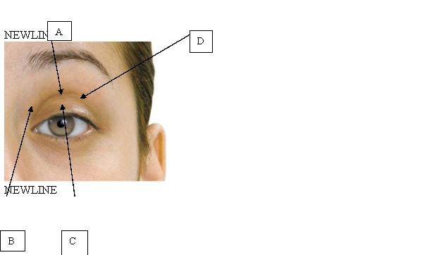 <strong>The nurse is assessing the client's corneal reflex. Which is the correct location for assessing the presence of this reflex? </strong> A) A. B) B. C) C. D) D.