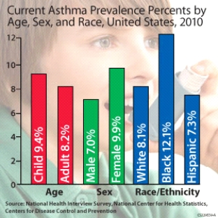 <strong>Review the following graph. Which race/ethnicity has the highest prevalence rate in the United States? </strong> A) Male B) Child C) Hispanic D) Black