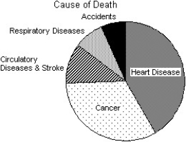 <strong>The Centers for Disease Control in the U.S.A.lists causes of death for individual states in 2002.The mortality data for one state is given. Which of the following displays is/are appropriate for these data? (More than one display may be appropriate. ) I II III </strong> A)I,II B)I C)I,III D)I,II,III E)None of these displays are appropriate.
