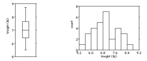 <strong>Shown below are the boxplot and the histogram for the weights (in pounds)of 30 newborn babies in the U.S.A.. i.What features of the distribution can you see in both the histogram and the boxplot? ii.What features of the distribution can you see in the histogram that you could not see in the boxplot?</strong> A)i)The distribution is bimodal and symmetric.There are two outliers at about 5.4 and 8.6.The mean and median values are about the same. ii.The dip at about 7.4 lb,for example,is apparent only from the histogram. B)i)The distribution is unimodal and skewed to the right.There are no outliers.The mean is greater than the median. ii.The dip at about 7.4 lb,for example,is apparent only from the histogram. C)i)The distribution is unimodal and symmetric.There are two outliers at about 5.4 and 8.6.The mean and median values are about the same. ii.The dip at about 7.4 lb,for example,is apparent only from the histogram. D)i)The distribution is unimodal and skewed to the left.There are no outliers.The mean is less than the median. ii.The dip at about 7.4 lb,for example,is apparent only from the histogram. E)i)The distribution is unimodal and symmetric.There are no outliers.The mean and median values are about the same. ii.The dip at about 7.4 lb,for example,is apparent only from the histogram.