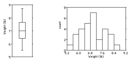 <strong>Shown below are the boxplot,the histogram and summary statistics for the weights (in pounds)of 30 newborn babies: Write a few sentences describing the distribution.</strong> A)The distribution is unimodal and symmetric.There are no outliers.The mean newborn baby weight was 6.9 lb with a standard deviation of 0.8 lb. B)The distribution is unimodal and symmetric.There are no outliers.The mean newborn baby weight was 7 lb with a standard deviation of 1.3 lb. C)The distribution is unimodal and skewed to the right.There are no outliers.The mean newborn baby weight was 7 lb with an IQR of 1.3 lb. D)The distribution is bimodal and symmetric.There are no outliers.The mean newborn baby weight was 6.9 lb with a standard deviation of 0.8 lb. E)The distribution is unimodal and skewed to the left.There are no outliers.The mean newborn baby weight was 7 lb with an IQR of 1.3 lb.