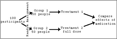 <strong>A double-blind experiment of an allergy medication is being tested on 100 participants according to this diagram: If Group 2 receives a full dose of the medication,what should Group 1's treatment consist of?</strong> A)Blocked doses B)A 50% dose C)Stratified doses D)A placebo E)Randomized doses