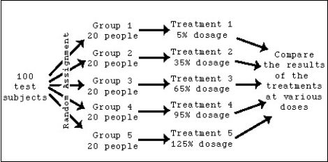 <strong>A pharmaceutical company will be testing a new one-dosage fits all medication for treating depression.The pharmaceutical company has 100 willing test subjects that will undergo a 30-day,double-blind experiment.The experiment uses the following diagram as a guide for administering the medication at various doses,from 5% to 125%. What is the most obvious factor missing from this proposed experiment?</strong> A)A control group B)A 100% dosage C)Stratifying must be used. D)Blocking must be used. E)Nothing is missing.Basic variations have been accounted for.