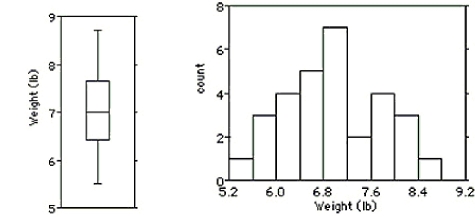 Shown below are the boxplot,the histogram and summary statistics for the weights (in pounds)of 30 newborn babies: \begin{array} { c | c | c | c | c | c | c | c } \text { Count } & \text { Mean } & \text { Median } & \text { StdDev } & \text { Min } & \text { Max } & \text { Q1 } & \text { Q3 } \\ \hline 30 & 6.9 & 7.0 & 0.8 & 5.5 & 8.7 & 6.4 & 7.7 \end{array} Write a few sentences describing the distribution.