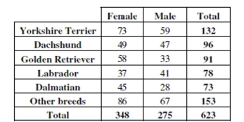 To determine if people's preference in dogs had changed in the recent years, organizers of a local dog show asked people who attended the show to indicate which breed was their favorite. This information was compiled by dog breed and gender of the people who responded. The table summarizes the responses. -Write a sentence or two about the conditional relative frequency distribution of the breeds among female respondents.