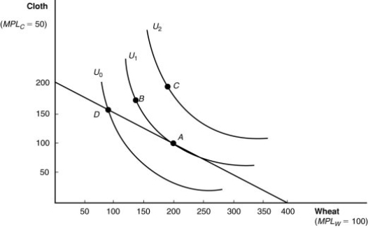<strong>(Figure: Indifference Curves) If this economy produces no cloth, how many units of wheat are possible? </strong> A) 50 B) 200 C) 300 D) 400