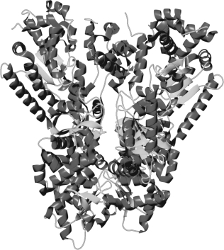 <strong>Which of the following methods is used to generate the structure shown below? </strong> A) scanning probe microscopy B) scanning electron microscopy C) transmission electron microscopy D) confocal microscopy E) X-ray crystallography